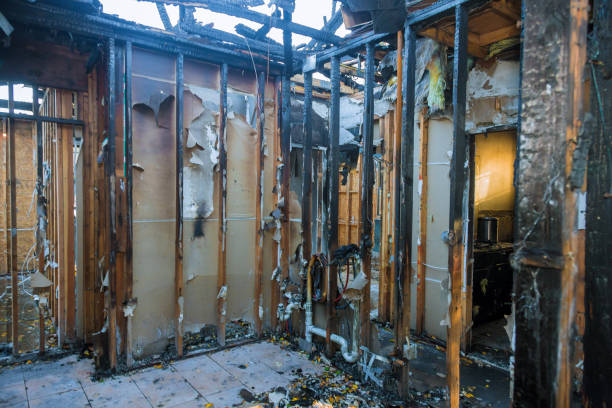 Professional Fire Damage Removal technician working in Olney, MD